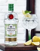 Gin and Tonic with Tanqueray Rangpur Premium Gin